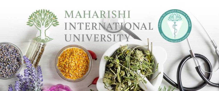 Fellowship MIM MAV MIU 2 768x321