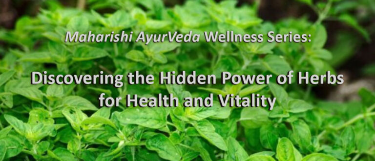 main MIU healing herbs 3 768x330