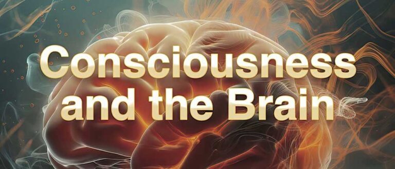 MIU Webinar cons brain 768x330