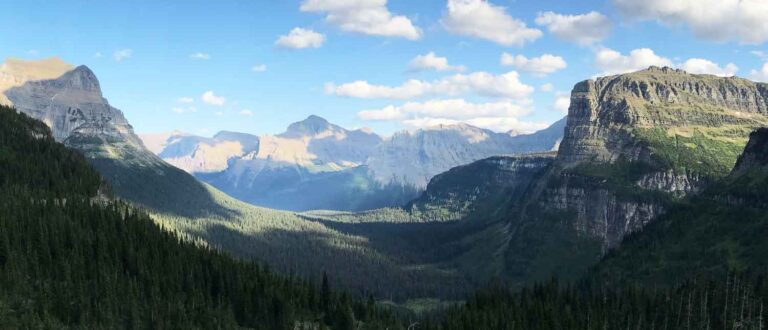 Montana 1500x645 1 1 768x330