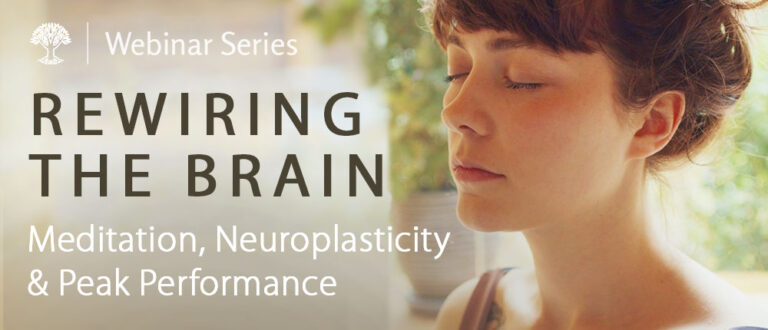 rewiring the brain 1 768x330