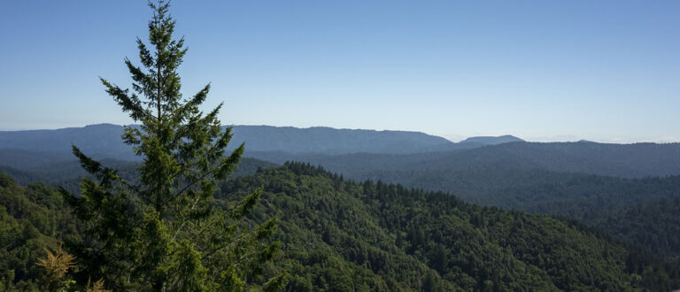 main banners Santa Cruz mountains 2 768x330