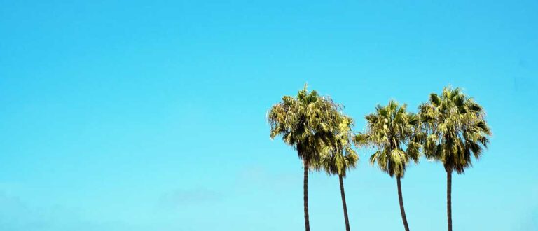 los angeles 1500x645 1 2 768x330